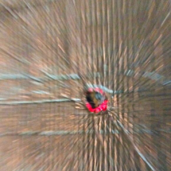 Haverford Blanket Roll. - Picture 3 of 6